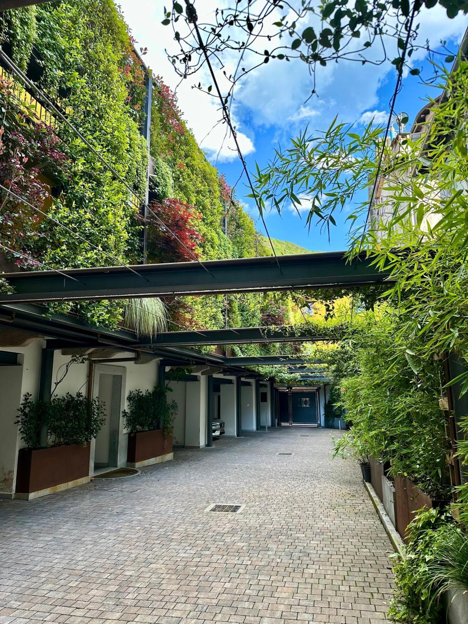 Residence Casa Coppa Appartamento Maple Omegna Eksteriør billede